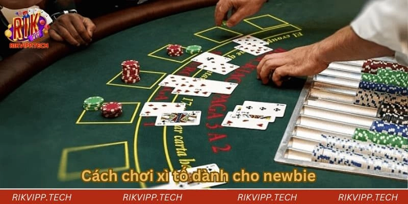 Chi tiết cách chơi xì tố đơn giản dành cho newbie Chi tiết cách chơi xì tố đơn giản dành cho newbie